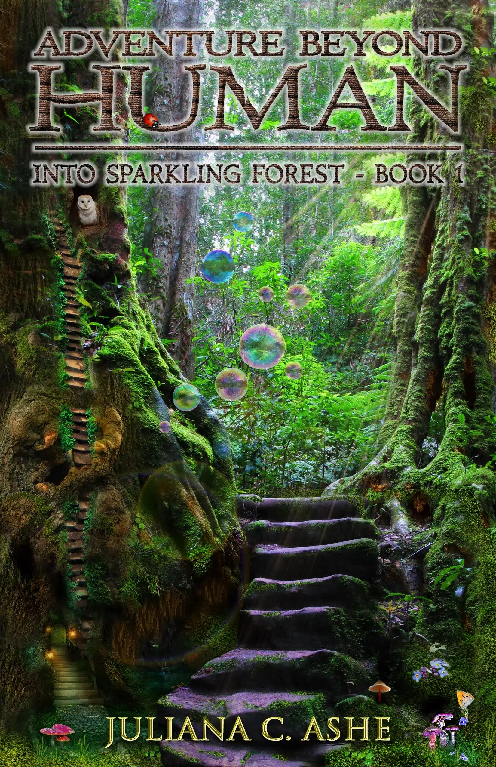 My first book in series Adventure Beyond Human