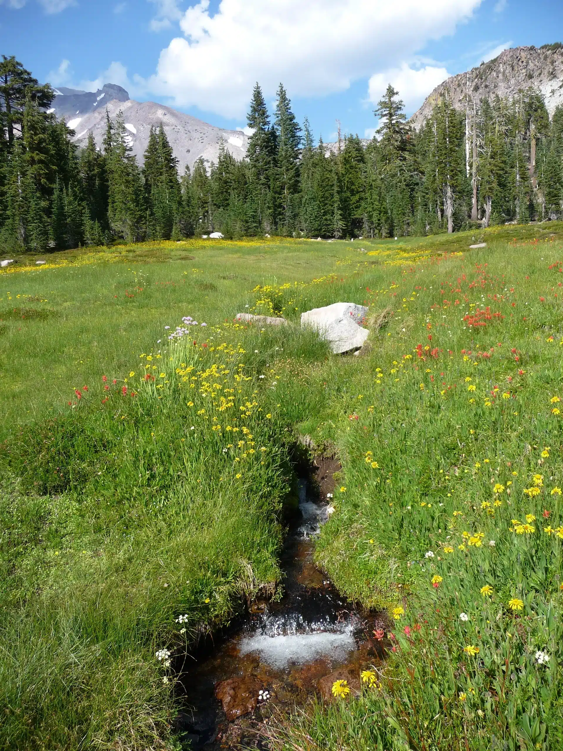 Panther Meadows Mt. Shasta, CA