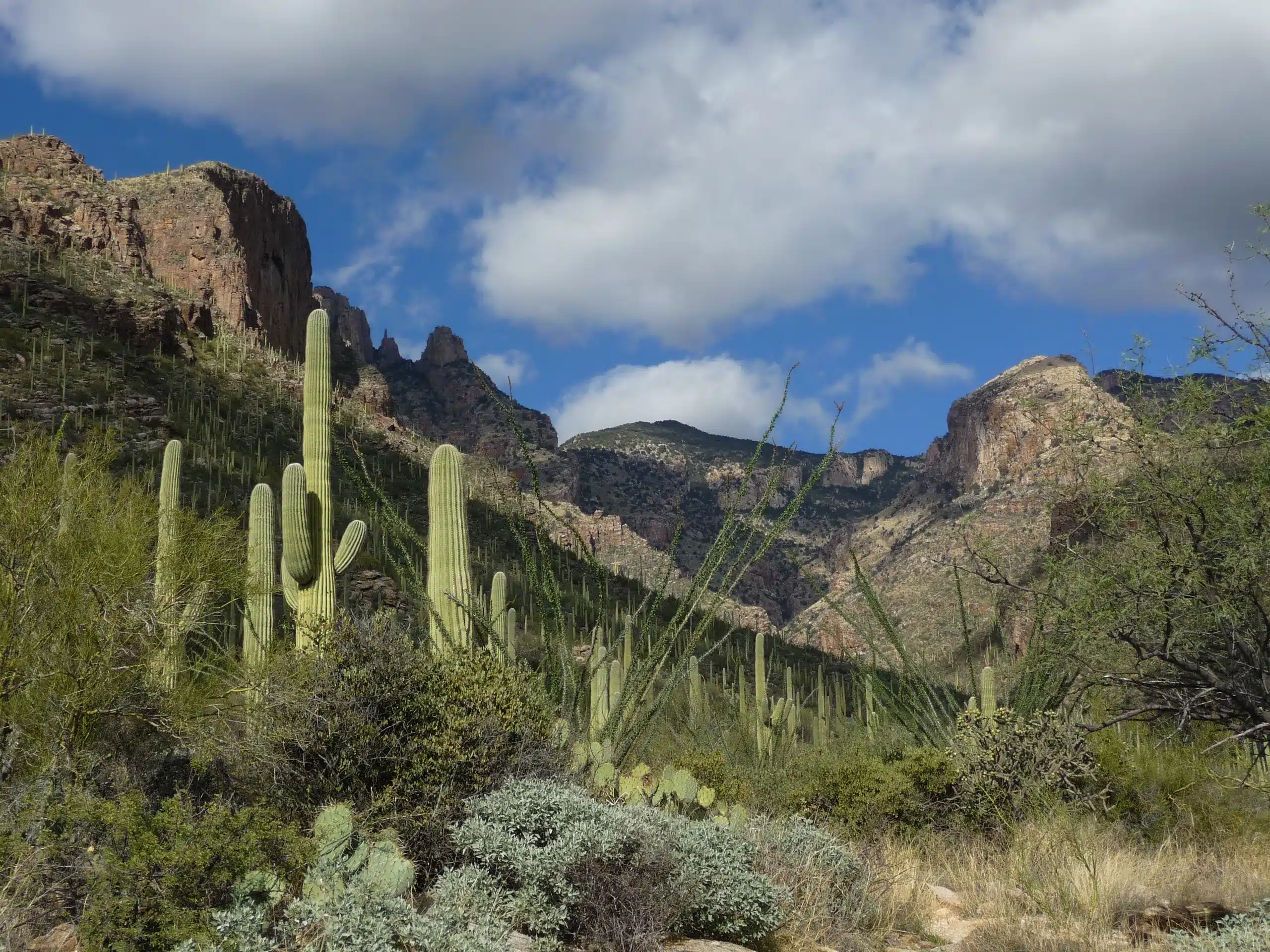 Hike toward Finger Rock, Tucson AZ 2017