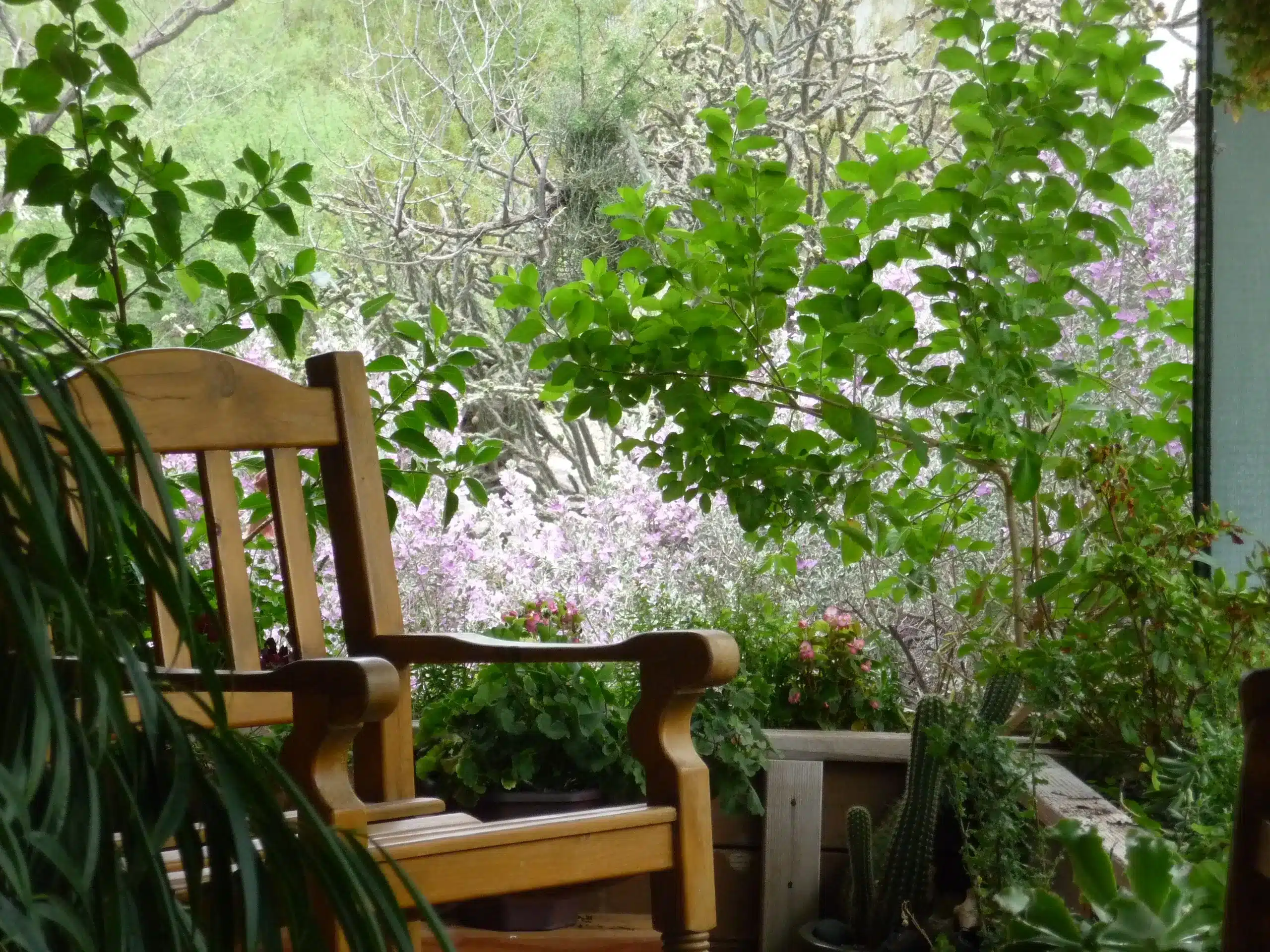 Juliana's Front Porch