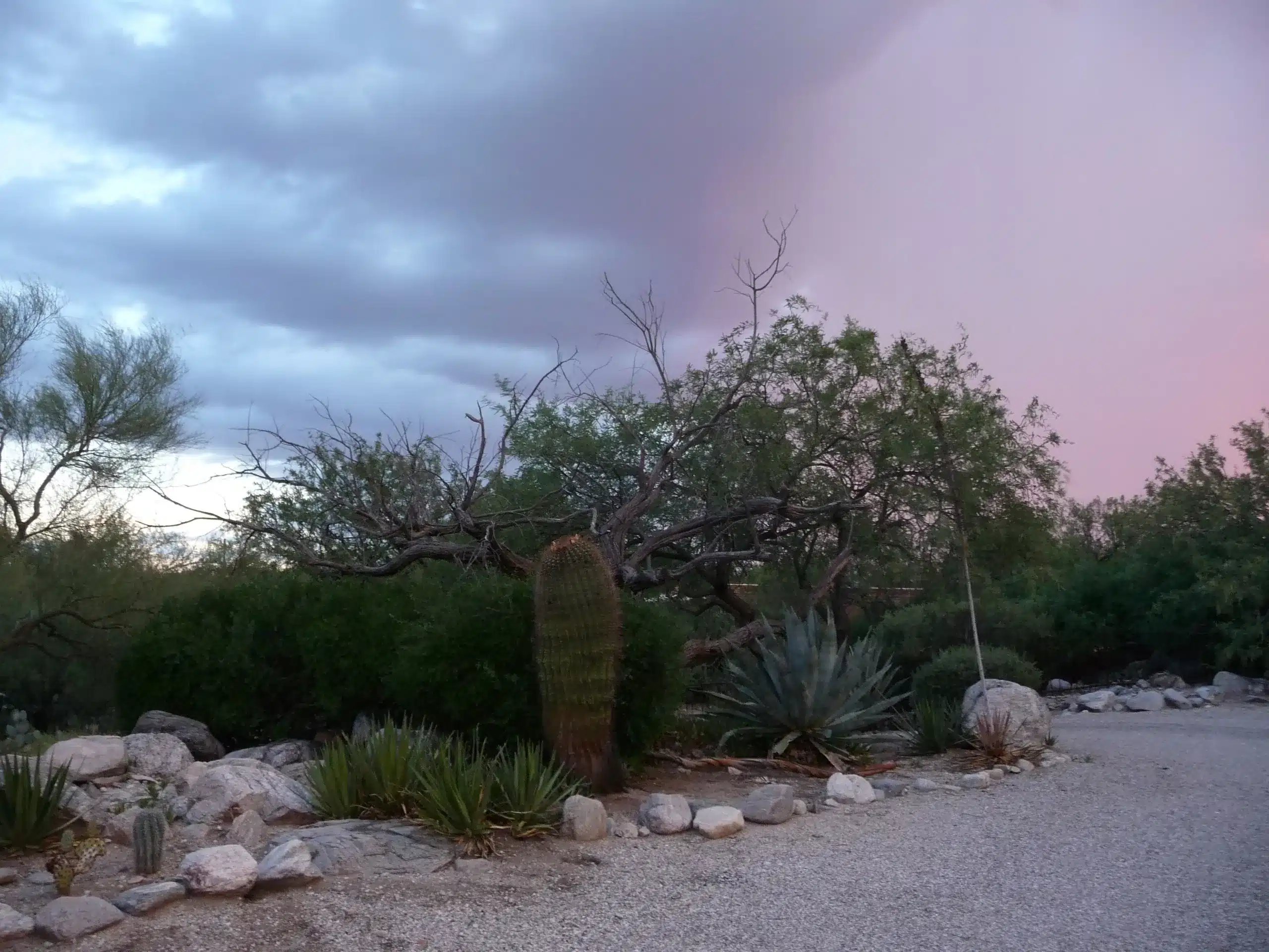 Beautiful sky toward sunset my property